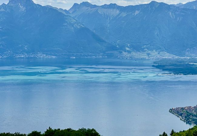 Chalet in Thollon-les-Mémises - Alpengruss 1100