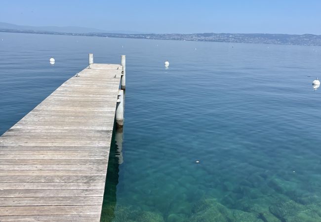 Chalet in Thollon-les-Mémises - Alpengruss 1100