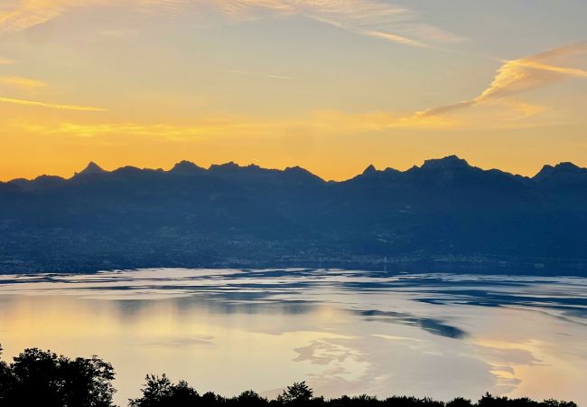 Chalet à Thollon-les-Mémises - Alpengruss 1100
