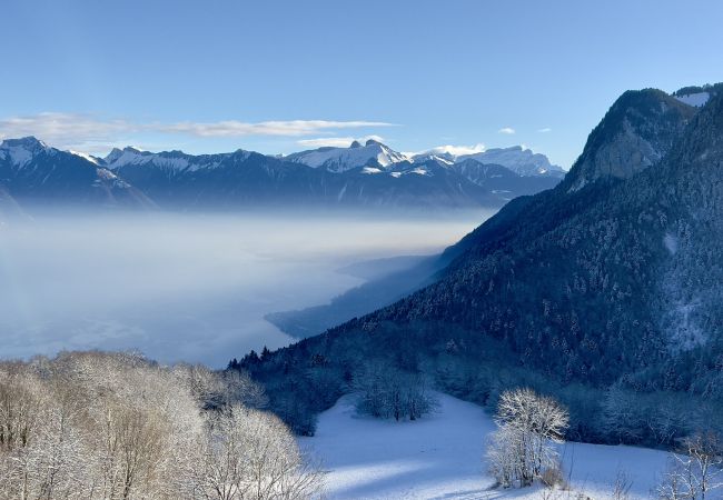 Chalet à Thollon-les-Mémises - Alpengruss 1100