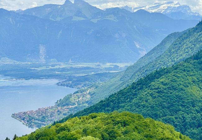 Chalet à Thollon-les-Mémises - Alpengruss 1100